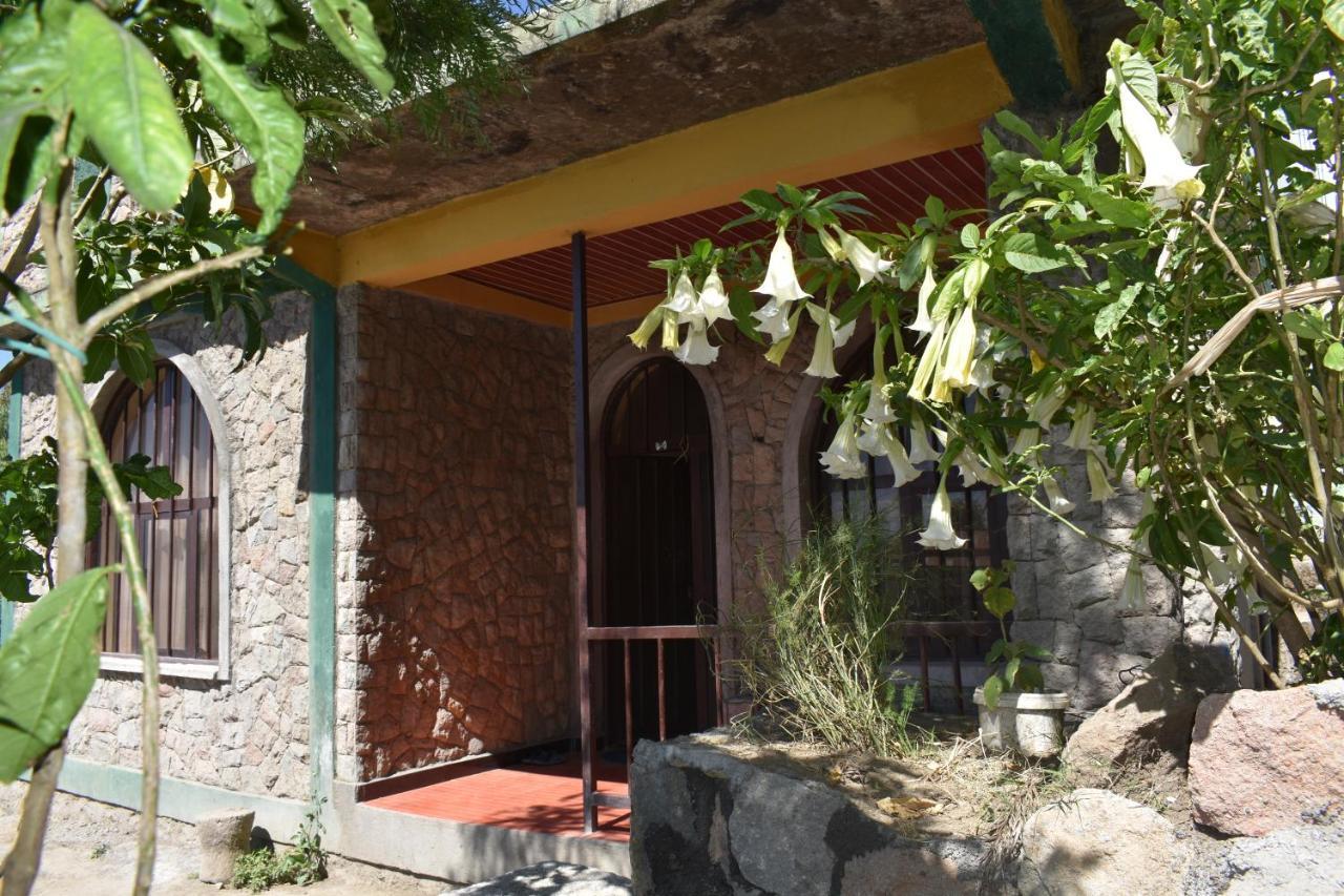 Lalibela Homestay Eksteriør billede